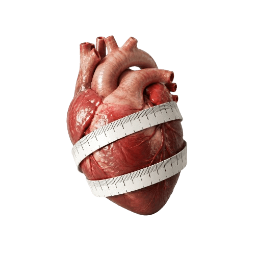 Undo cholesterol and triglycerides