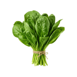 Improve loss of nutrients